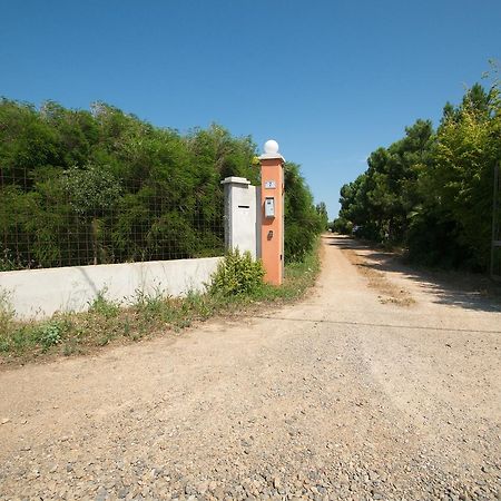 Fattoria Corte Noa Pensjonat Masainas Zewnętrze zdjęcie