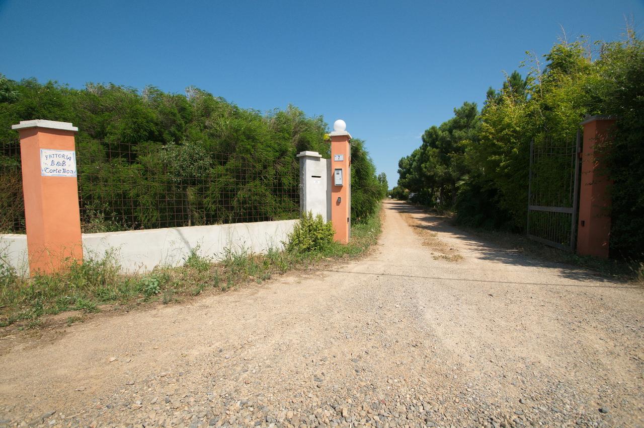 Fattoria Corte Noa Pensjonat Masainas Zewnętrze zdjęcie